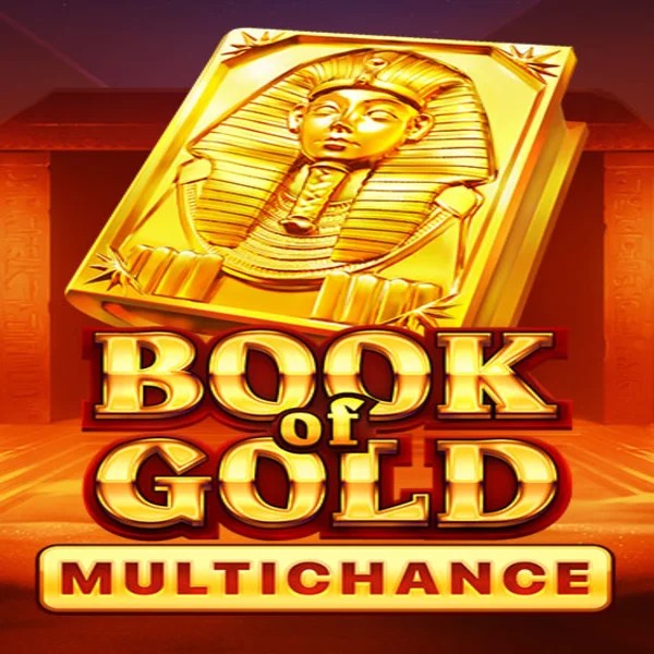 Book of Gold Multichance slot logo by Playson at WildHub Casino